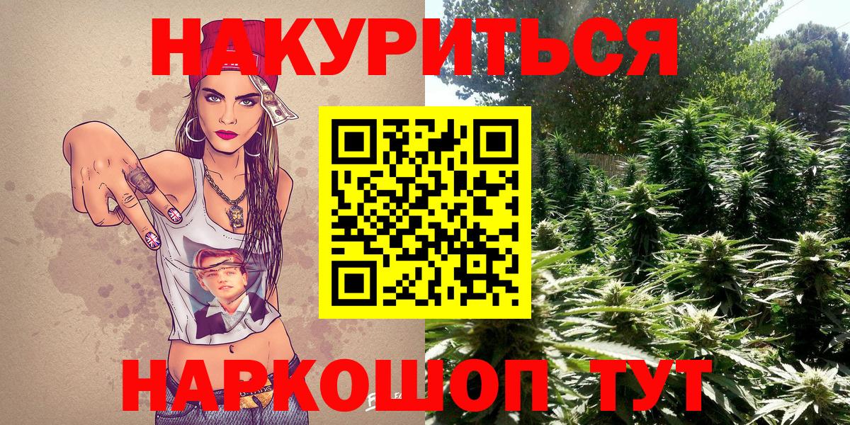 Канабис гибрид Мыски